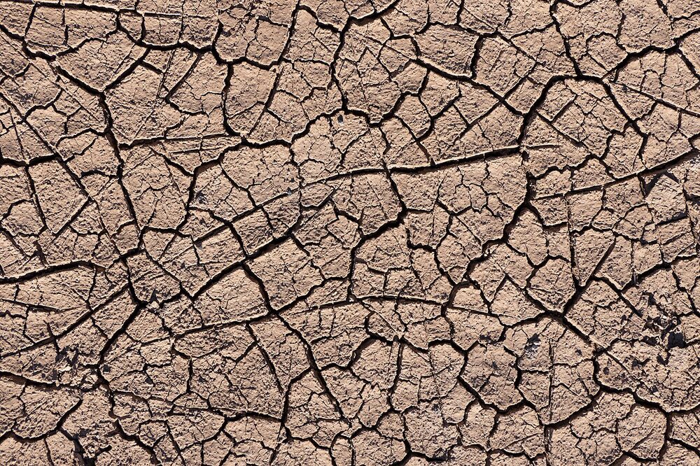 Dry cracked clay soil